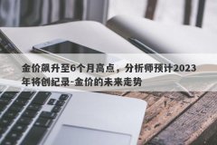 金价飙升至6个月高点，分析师预计2023年将创纪录-金价的未来走势