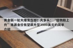 黄金新一轮大爆发在即？大多头：“怪物般上升”来袭金价有望飙升至3500美元的简单介绍