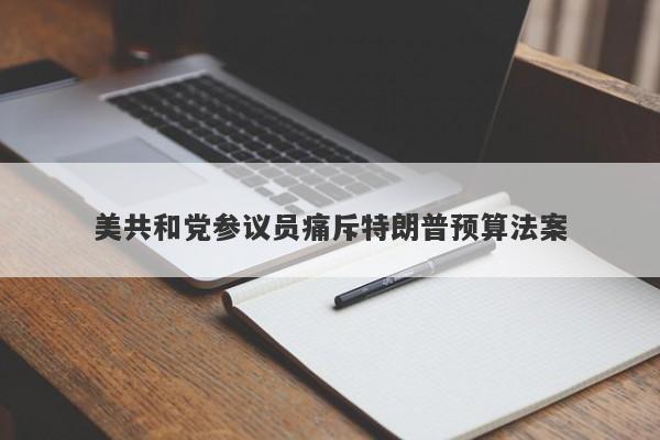 美共和党参议员痛斥特朗普预算法案